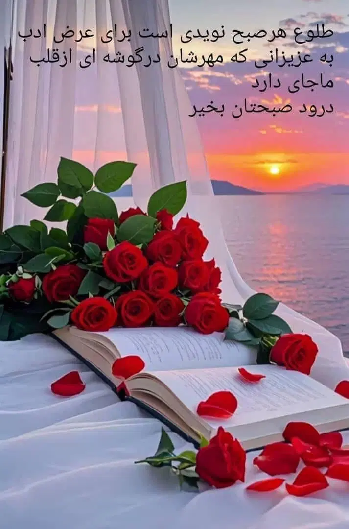 912-26-590-36|سیمکارت|مشهد, عیدگاه|دیوار