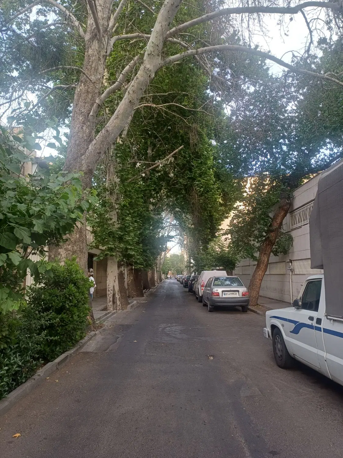 50متر/پارکینگ‌دار/ خیابان کارگر بالای پاستور/تخلیه|فروش آپارتمان|تهران, آذربایجان|دیوار