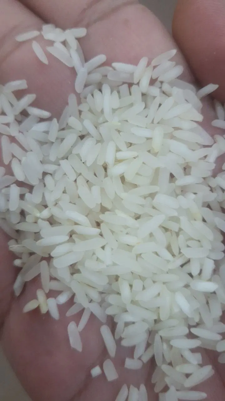 برنج|خوردنی و آشامیدنی|اهواز, سپیدار|دیوار