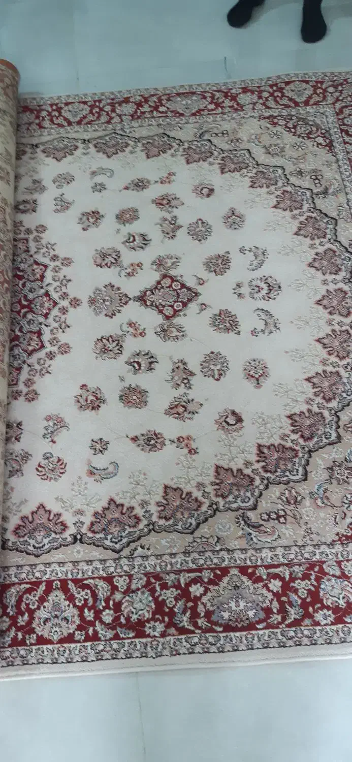 فرش ۶ متری|فرش|صومعهسرا, |دیوار