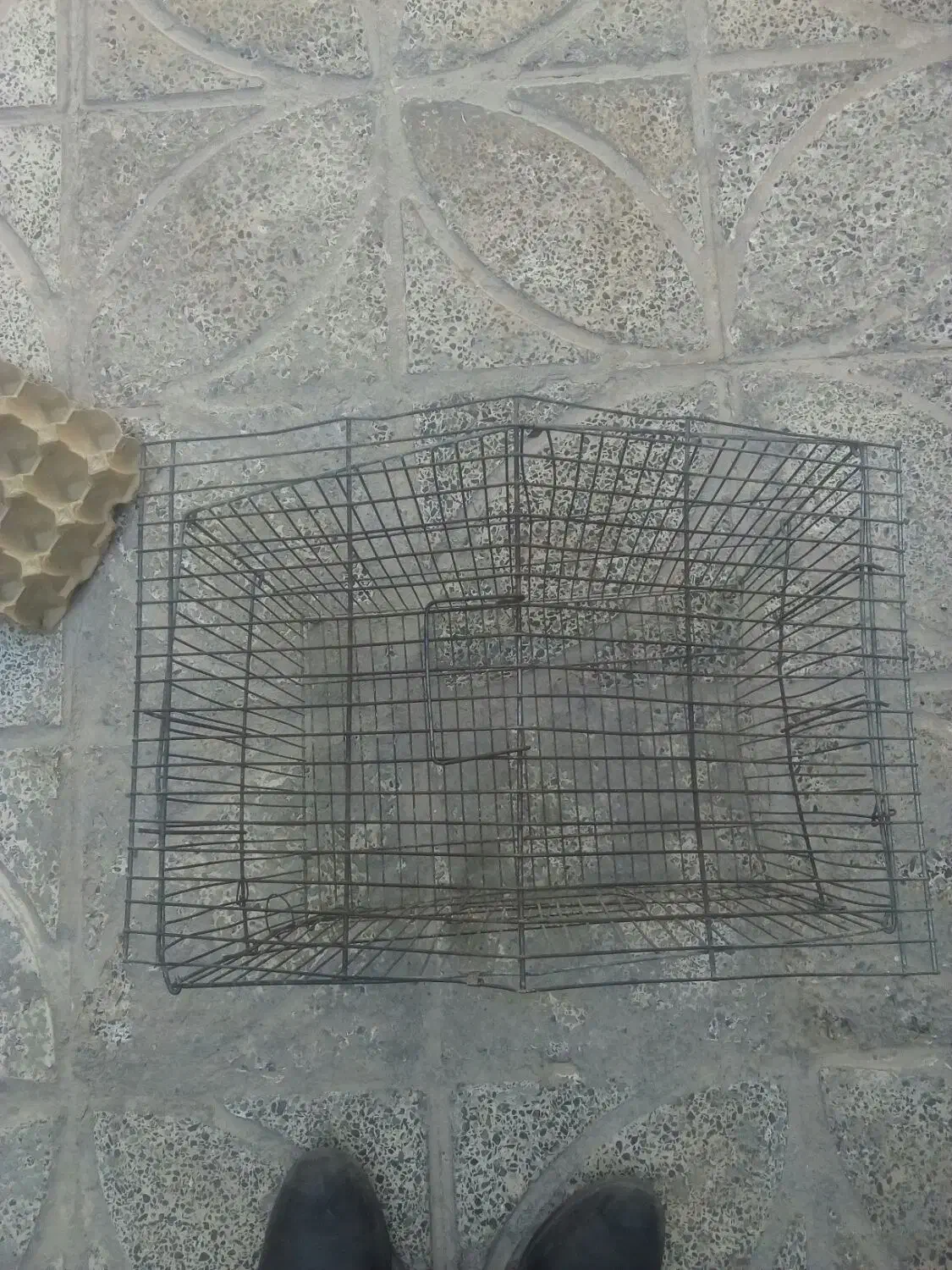 قفس|لوازم جانبی حیوانات|بیرجند, |دیوار