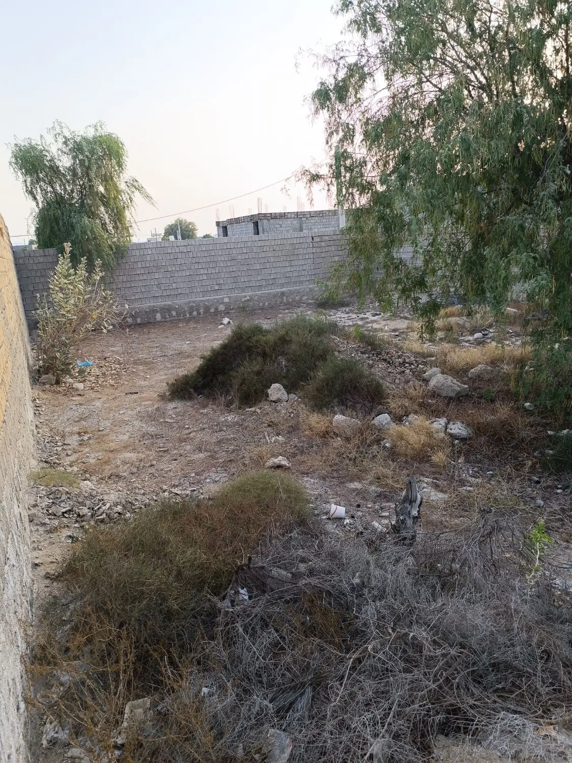 تصویر 2