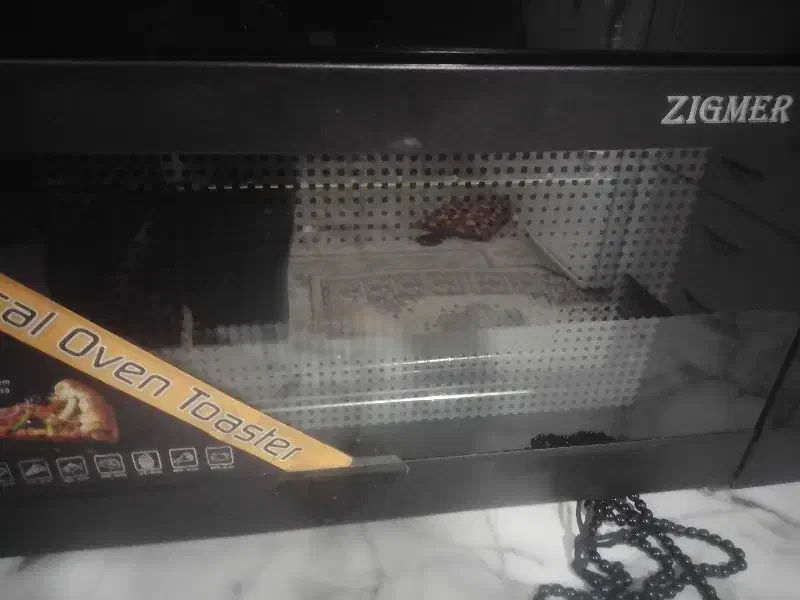 توستر|اجاق گاز و لوازم برقی پختوپز|نسیمشهر, |دیوار