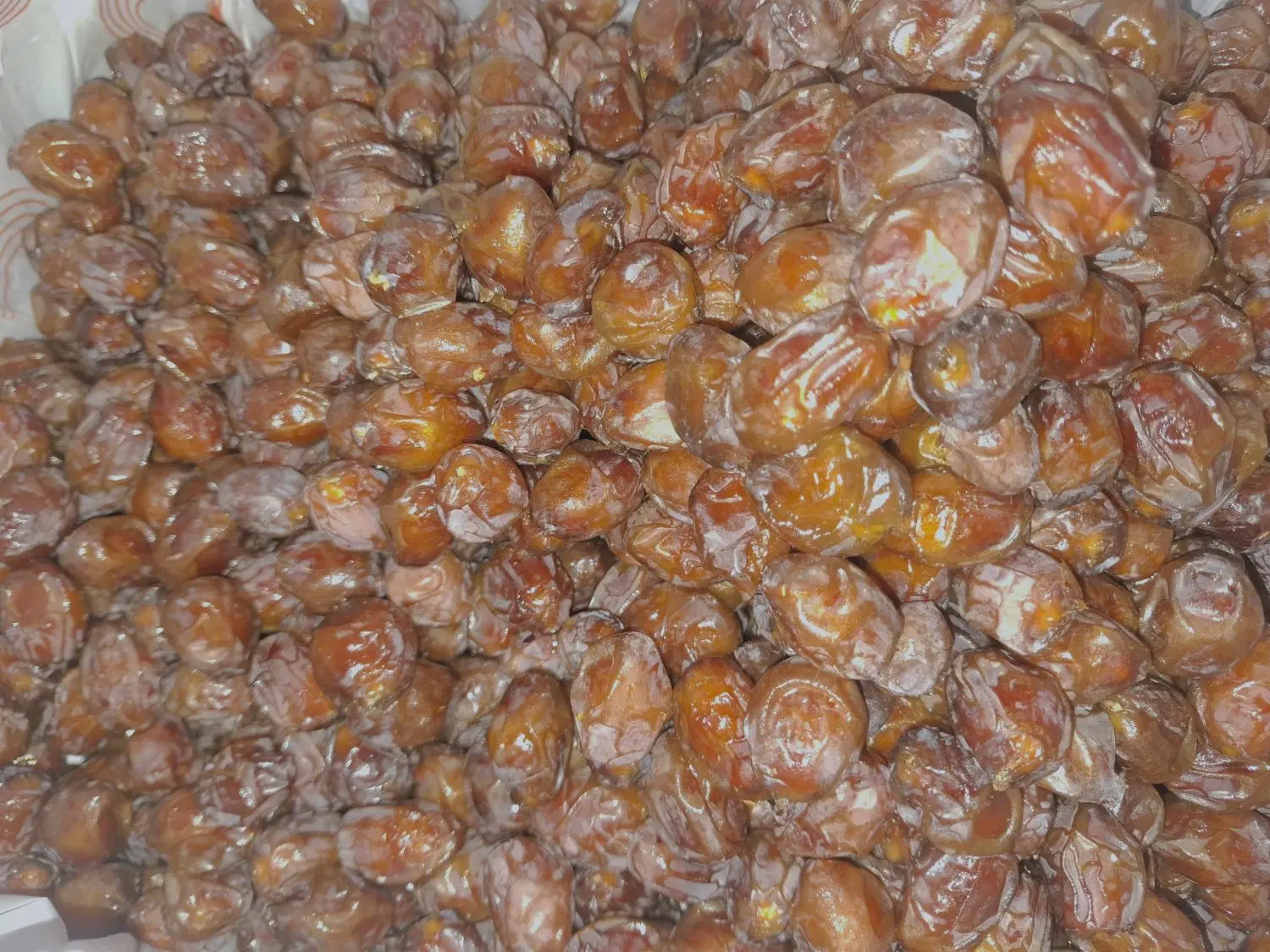 خرما|خوردنی و آشامیدنی|بندرعباس, |دیوار