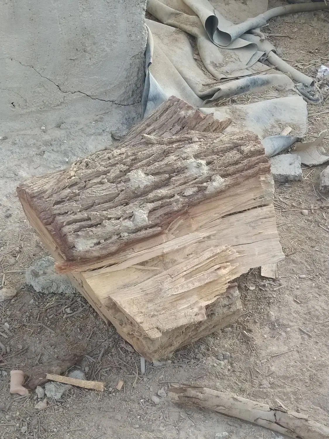 تنه خشک|صنایع دستی و سایر لوازم تزئینی|خمک, |دیوار