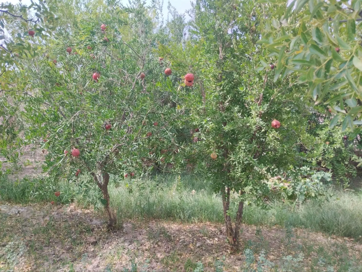 تصویر 9