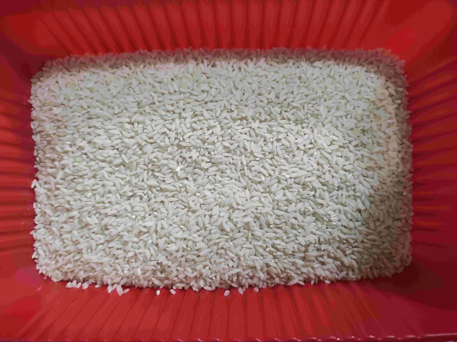برنج|خوردنی و آشامیدنی|فولادشهر, B8|دیوار