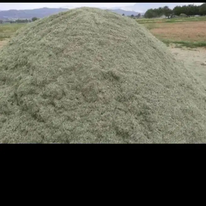 یونجه|خدمات باغبانی و درختکاری|روانسر, |دیوار