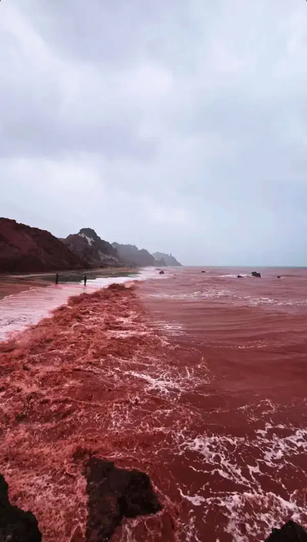 طبیعت گردی|تور و چارتر|هرمز, |دیوار