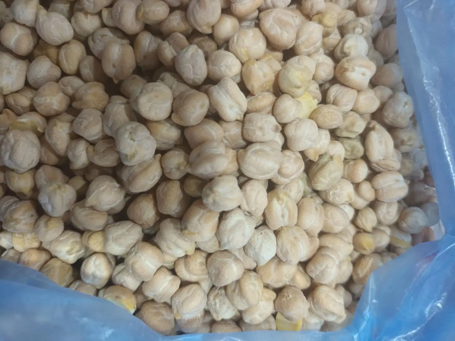 نخود|خوردنی و آشامیدنی|اندیمشک, |دیوار