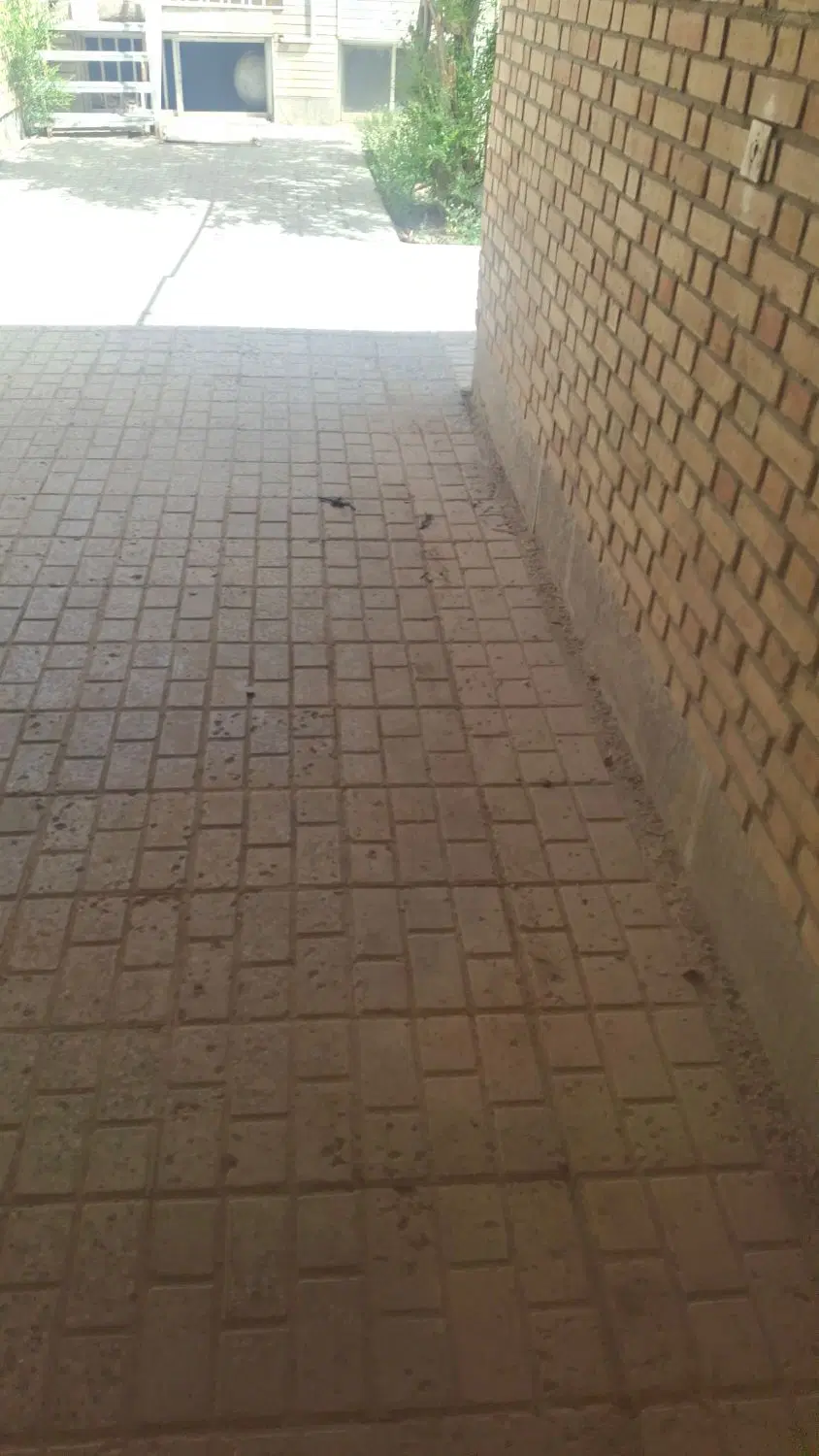 تصویر 13