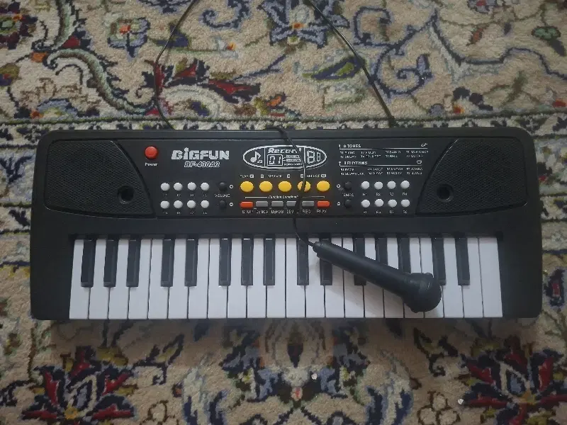 ارگ BIGFUN BF-430A2|پیانو، کیبورد، آکاردئون|تهران, حر|دیوار