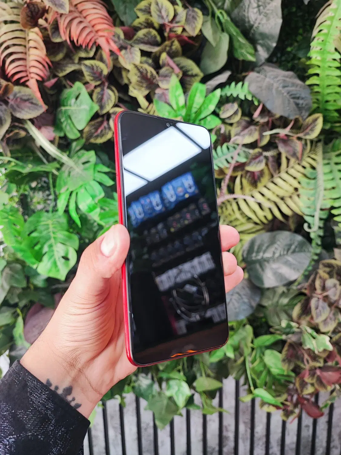 redmi 8|موبایل|پیشوا, |دیوار