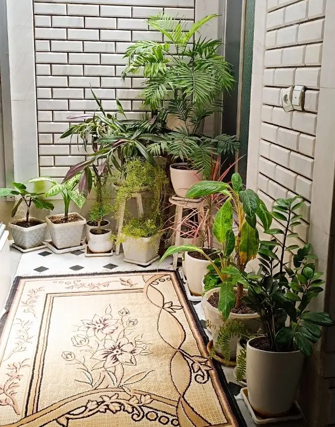 خانه|گل و گیاه طبیعی|قهدریجان, |دیوار