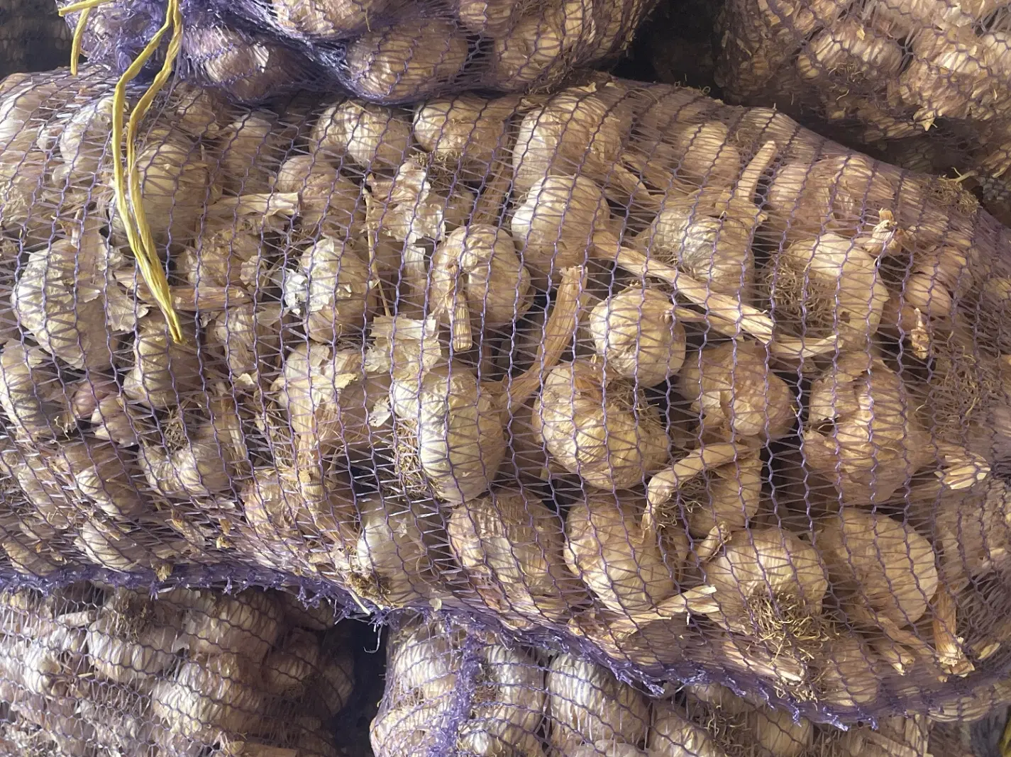 سیر|خوردنی و آشامیدنی|پارس‌آباد, |دیوار