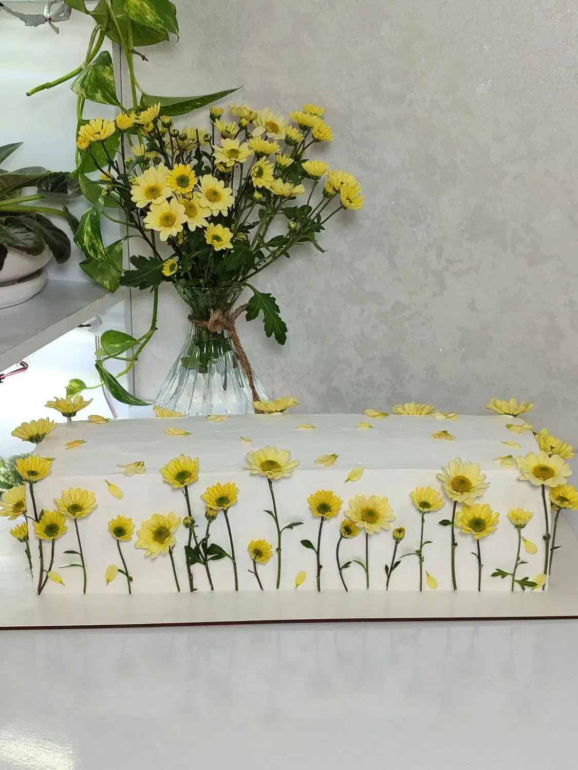 کیک تولد|خدمات پذیرایی، مراسم|رشت, شهرک صبا|دیوار