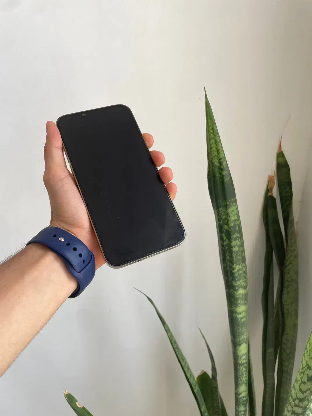 Iphone 13 pro max|موبایل|بندرعباس, |دیوار