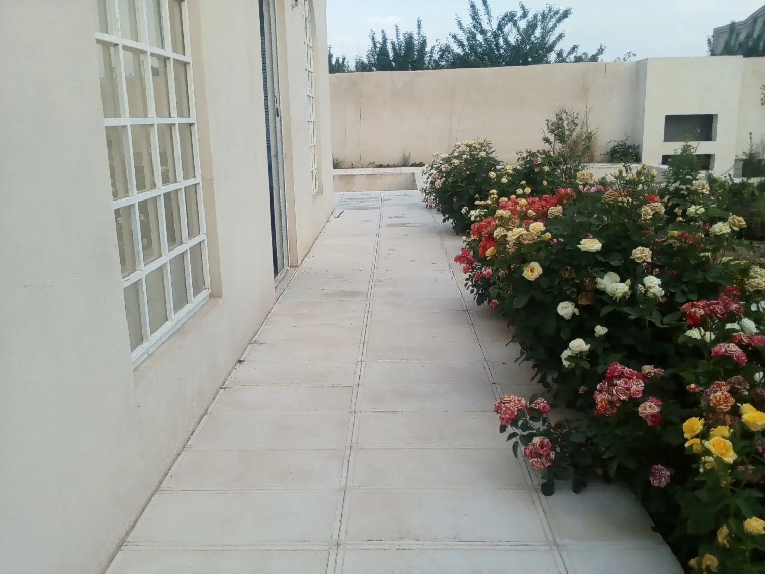تصویر 12