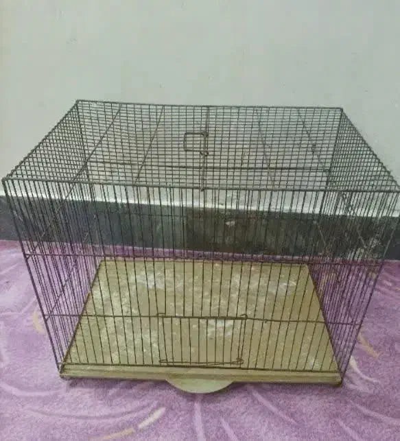 قفس|لوازم جانبی حیوانات|قم, زند آباد|دیوار