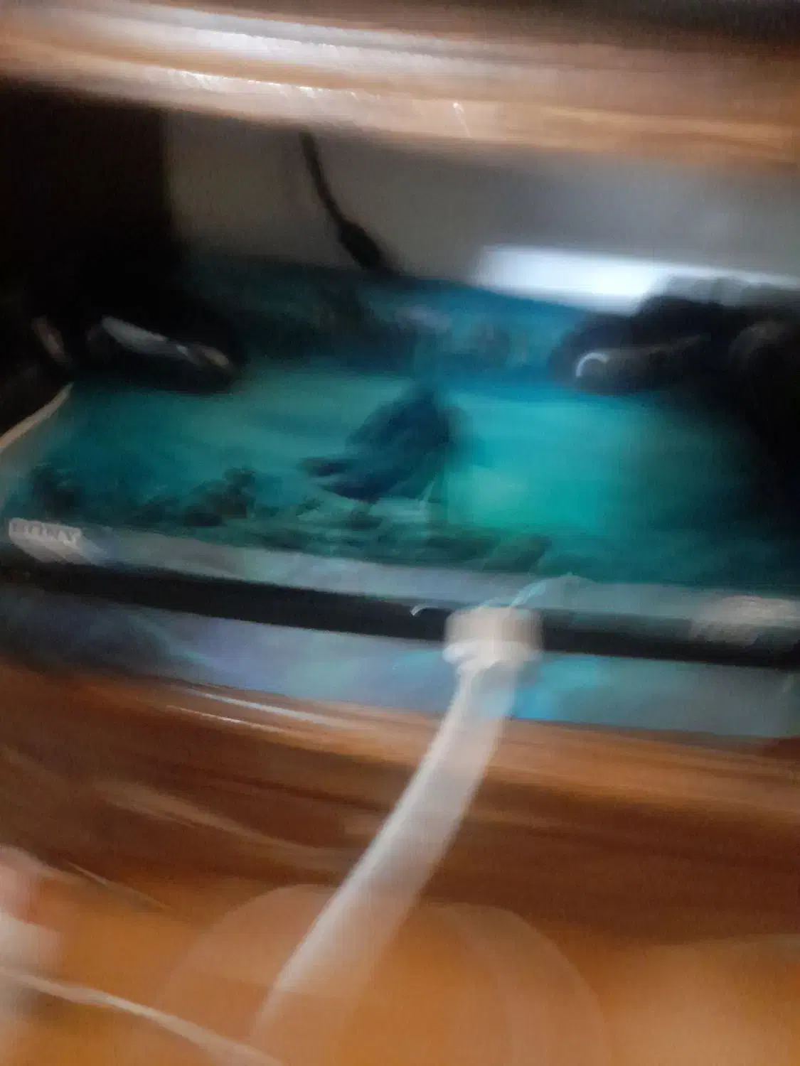 PS4 گپی خور|کنسول، بازی ویدئویی و آنلاین|تربت‌حیدریه, شهید قرنی|دیوار