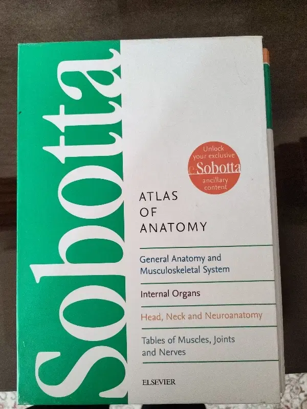 کتاب sobotta|کتاب و مجله آموزشی|اندیشه, اندیشه فاز ۴|دیوار