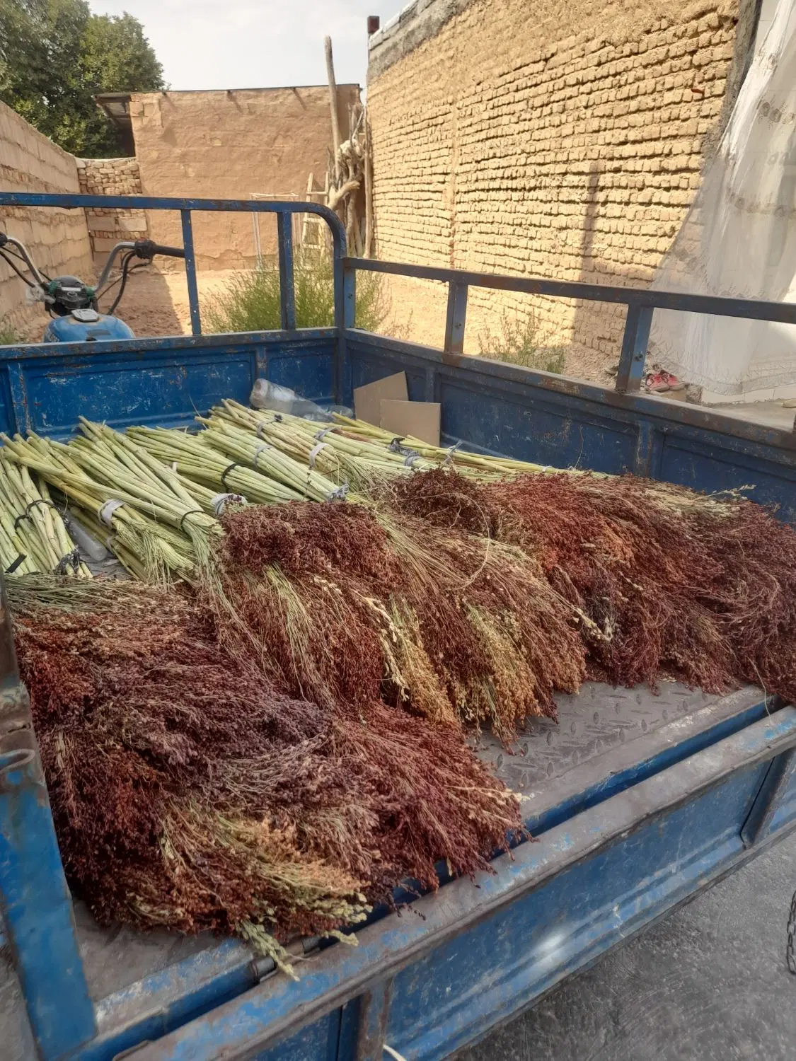 جارو|لوازم نظافت|کوهدشت, |دیوار