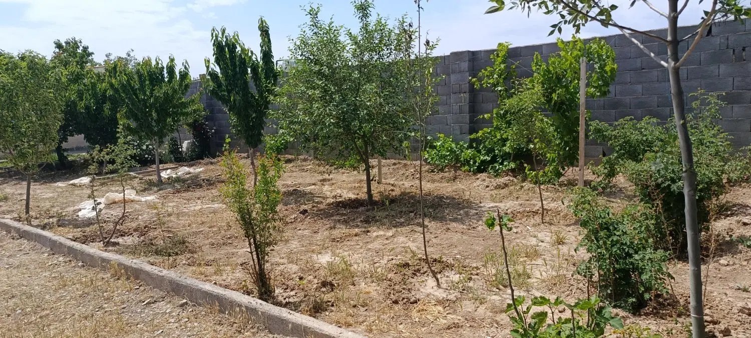 تصویر 8