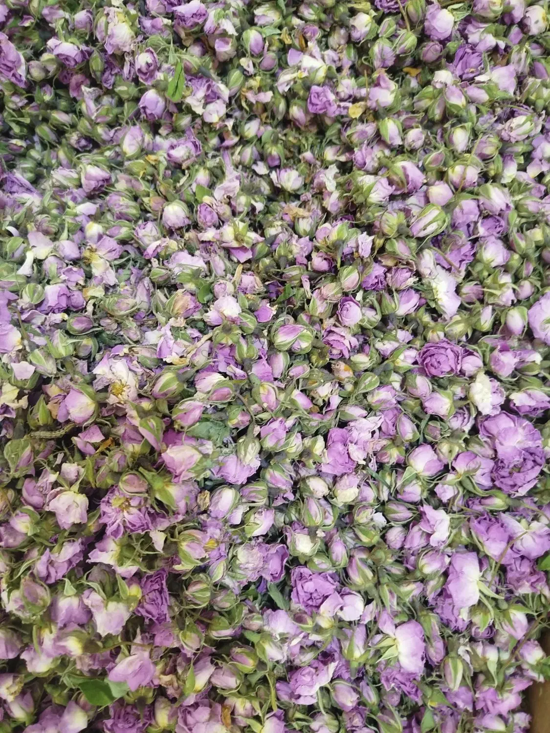 گل محمدی|خوردنی و آشامیدنی|رشت, کوی حسینی|دیوار
