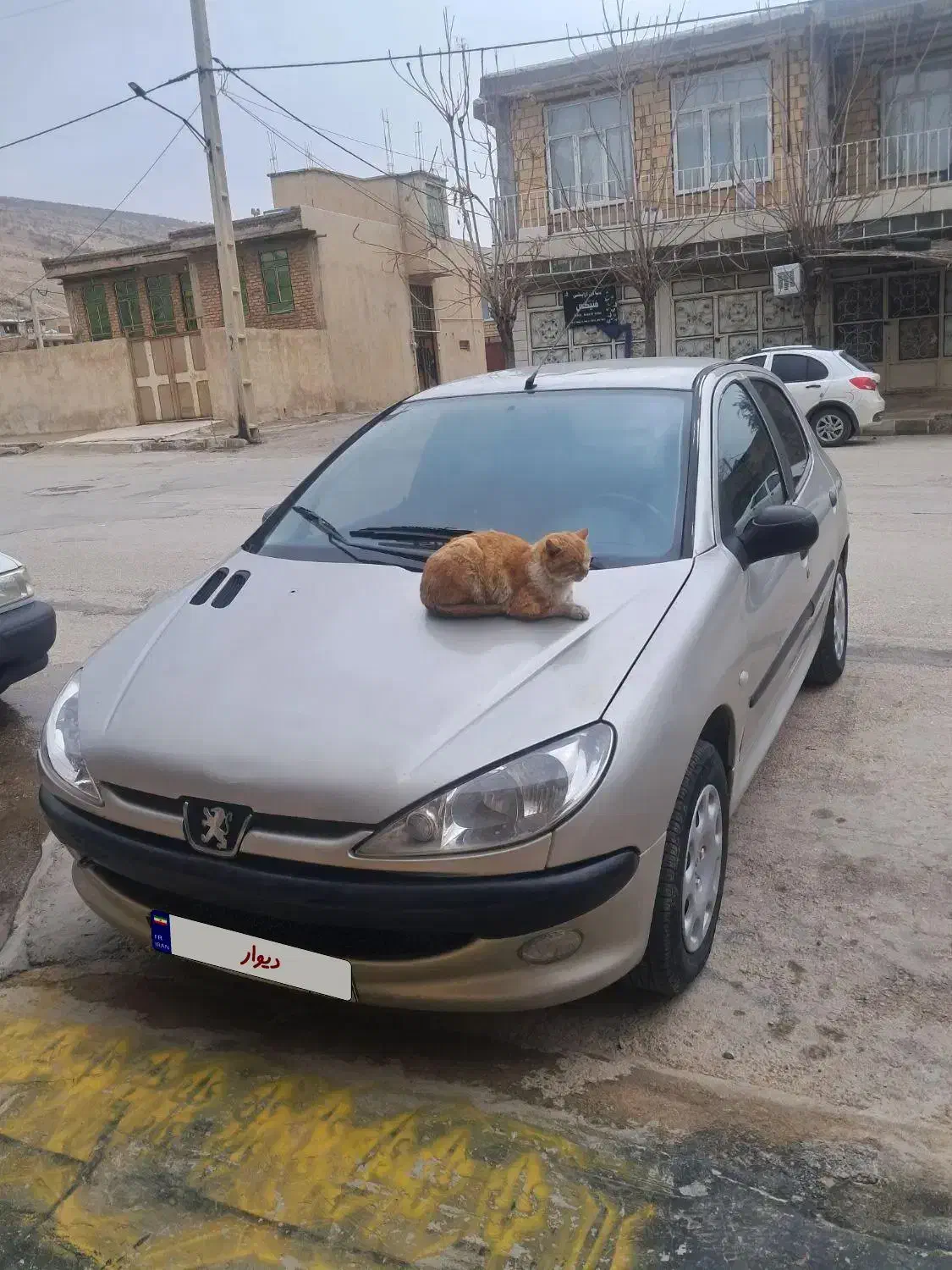 پژو ۲۰۶|خودرو سواری و وانت|ایوان, |دیوار