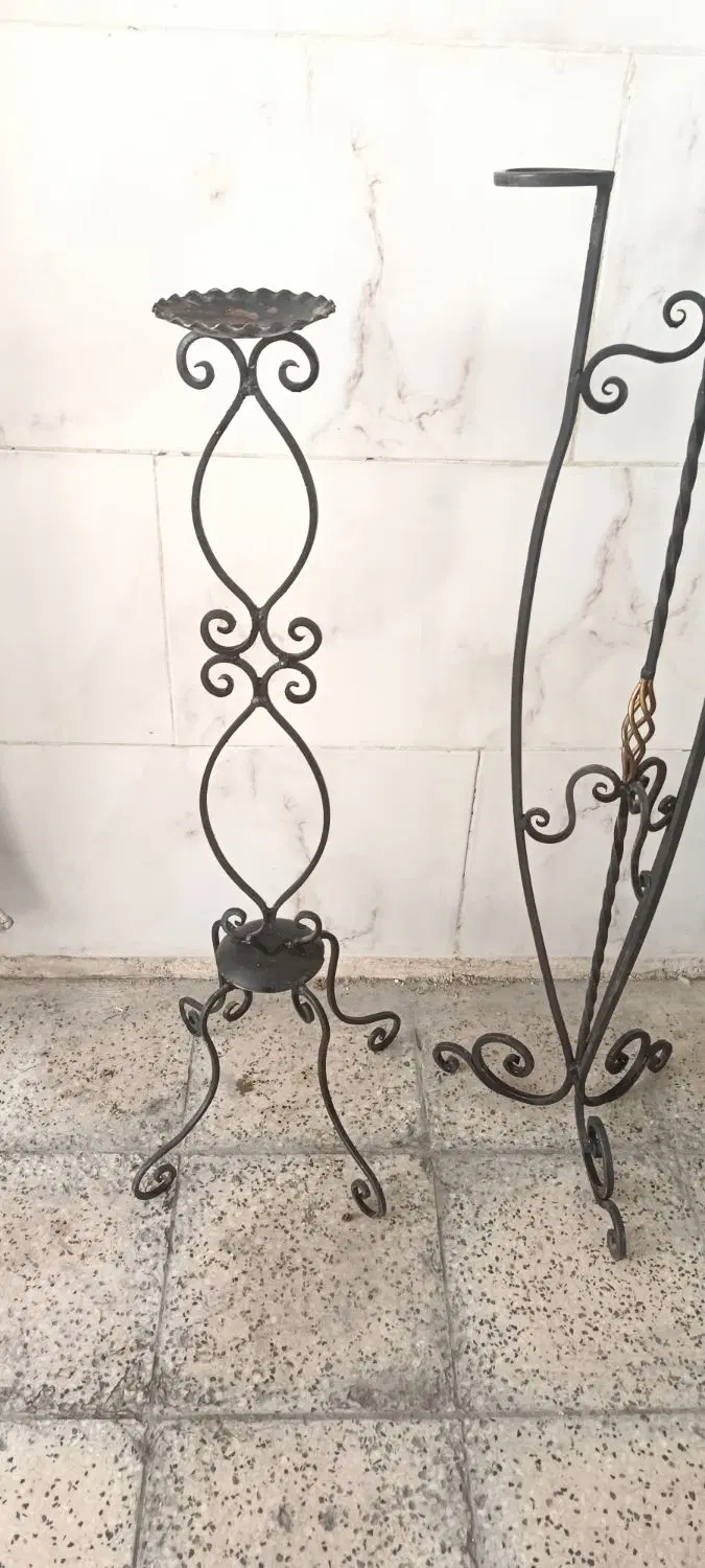 استندگل،|گل و گیاه طبیعی|همدان, |دیوار