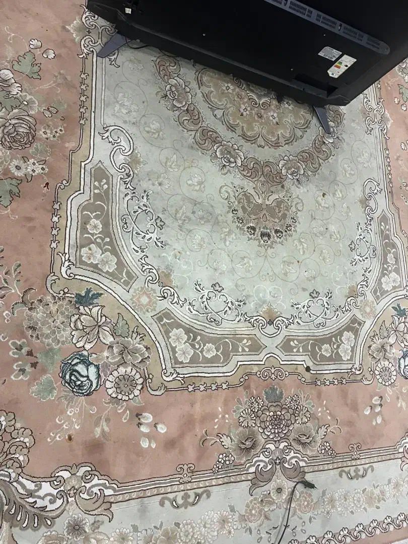 فرش|فرش|تهران, تختی|دیوار