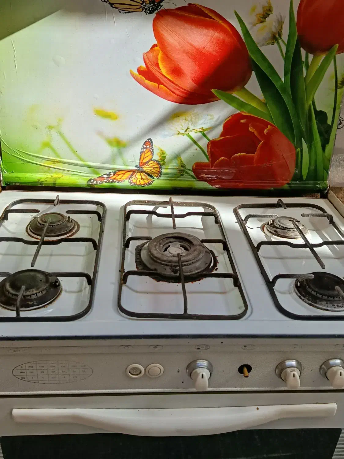 گاز سالم|اجاق گاز و لوازم برقی پختوپز|شیراز, سلطان آباد|دیوار