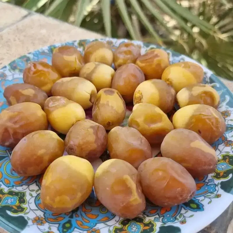 برحی|خوردنی و آشامیدنی|یزد, |دیوار