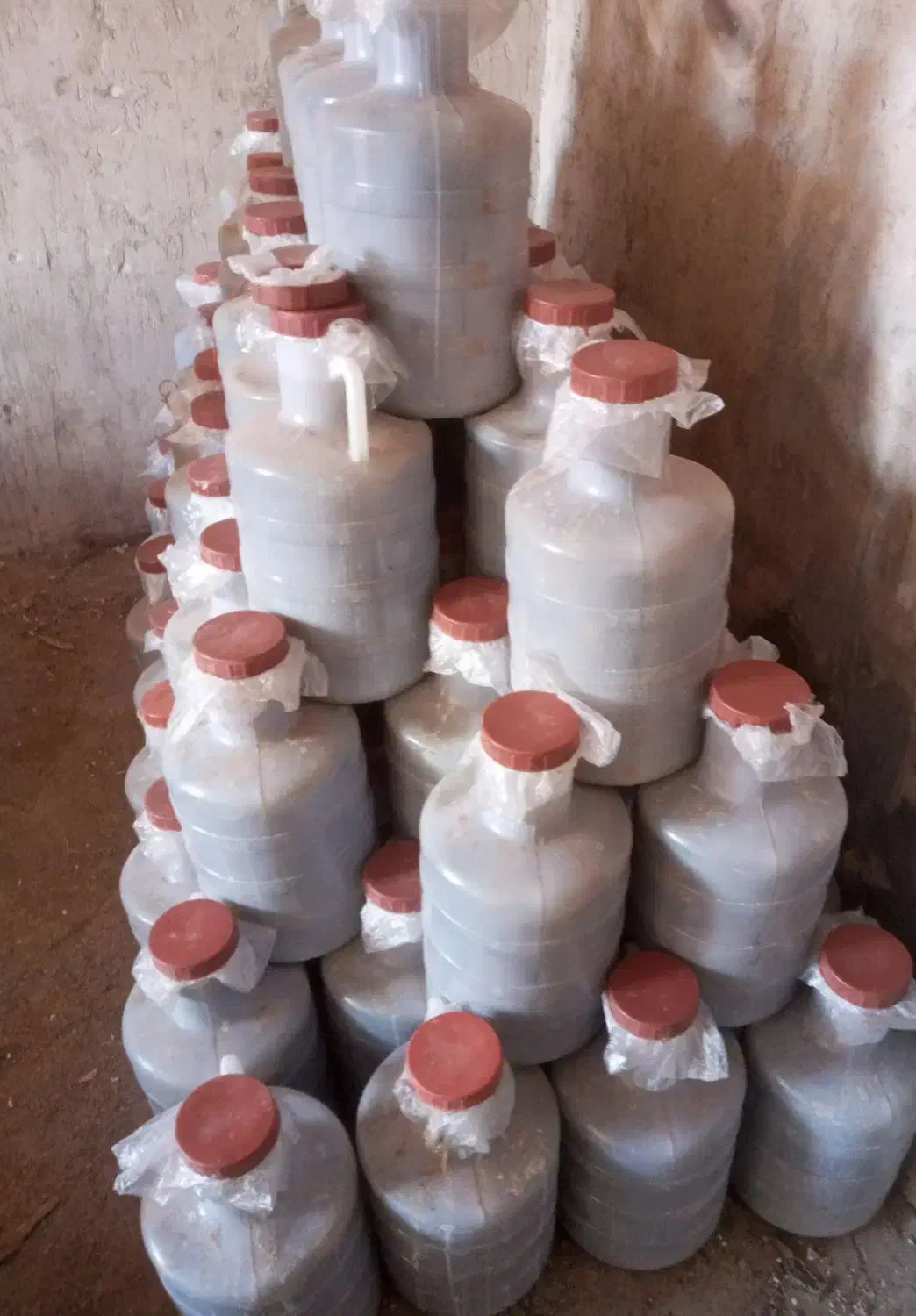 خیارشور|عمده‌فروشی|بزینه رود, |دیوار