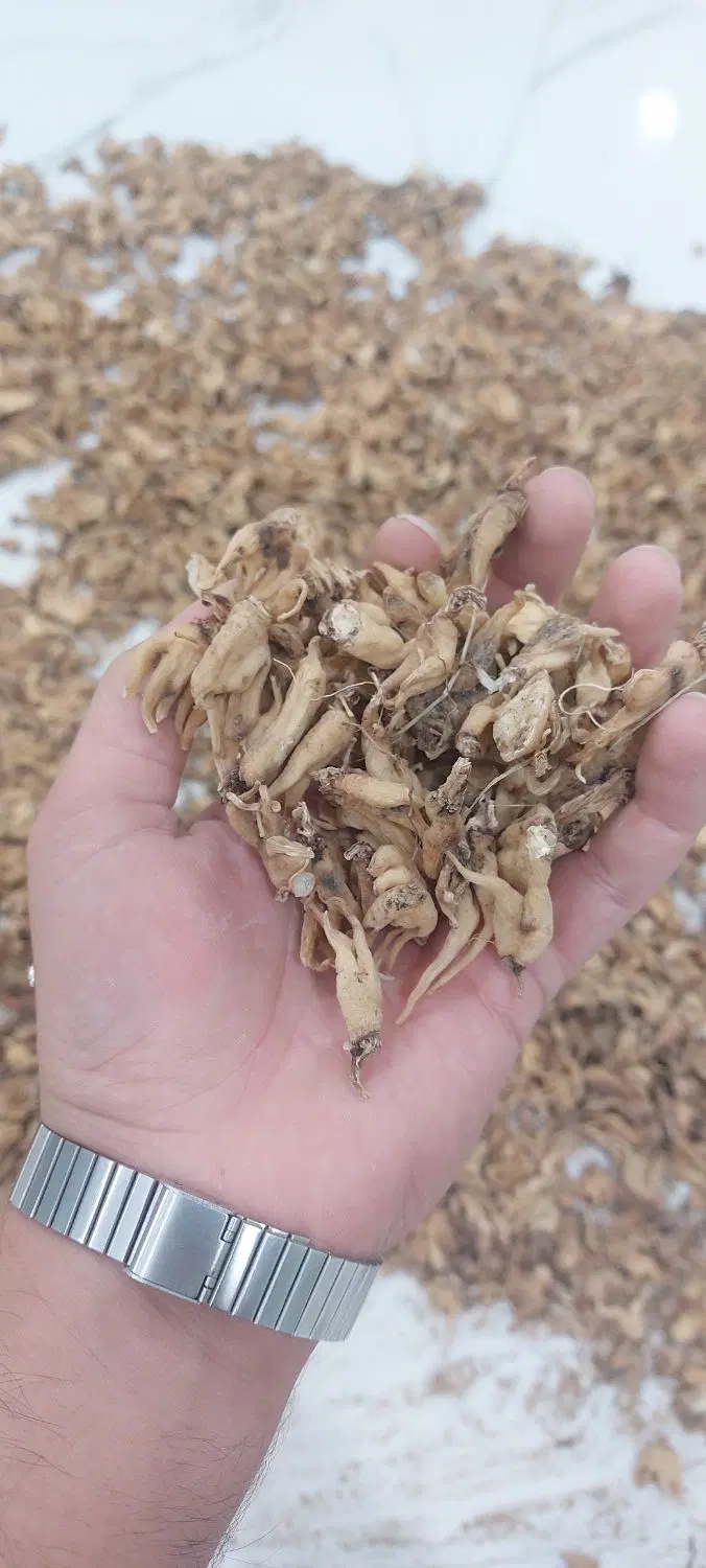 ثعلب|خوردنی و آشامیدنی|اردبیل, |دیوار