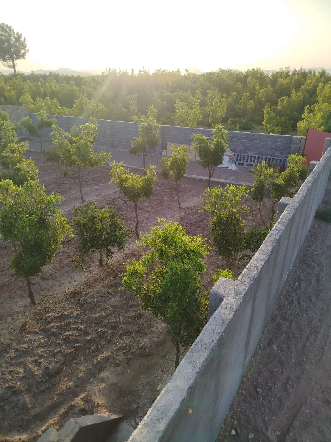 تصویر 10