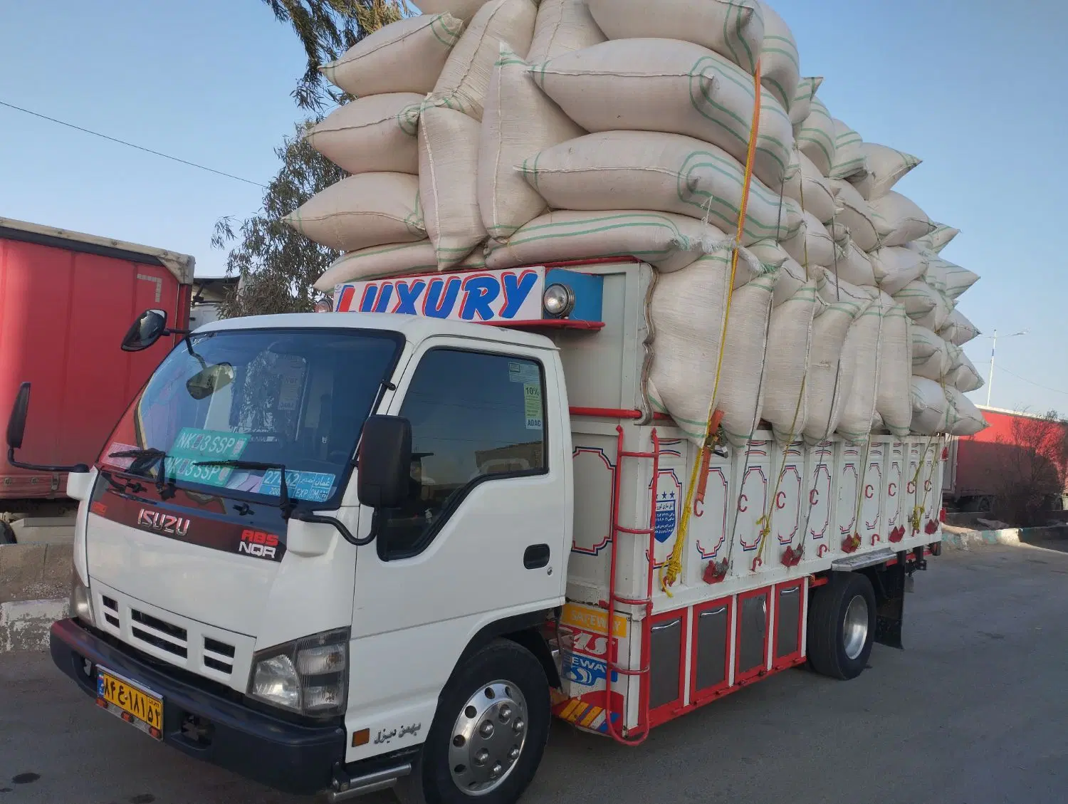 کاه|لوازم جانبی حیوانات|بندرعباس, |دیوار