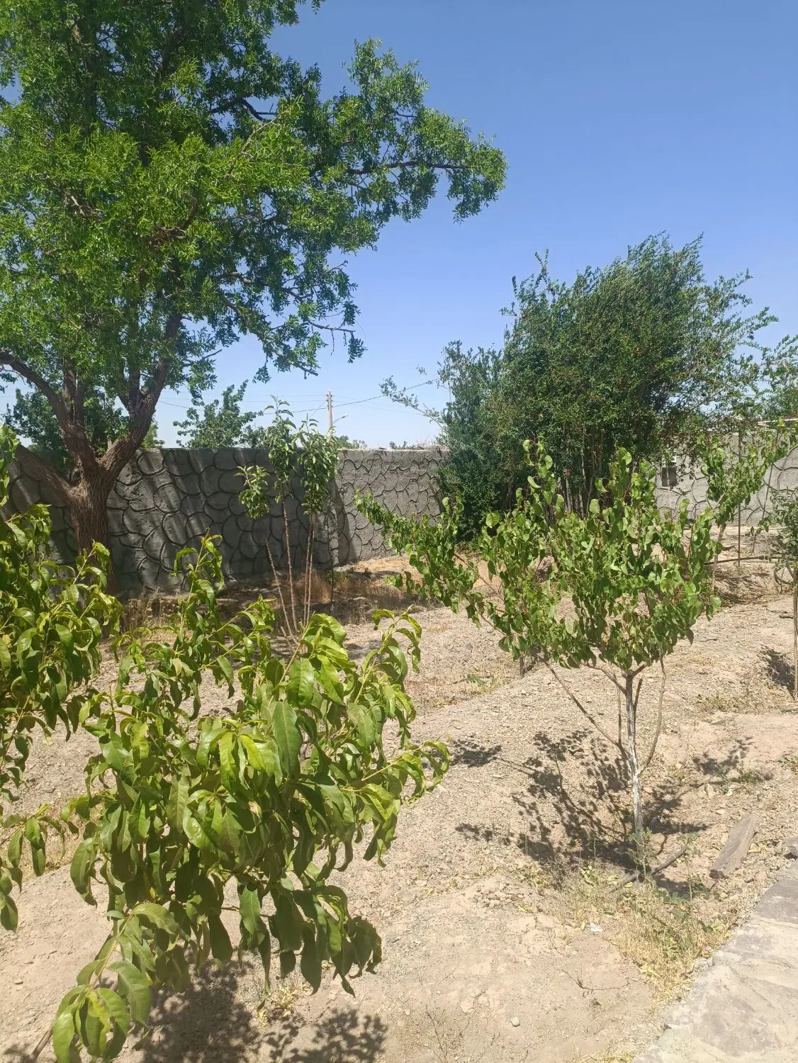 تصویر 4