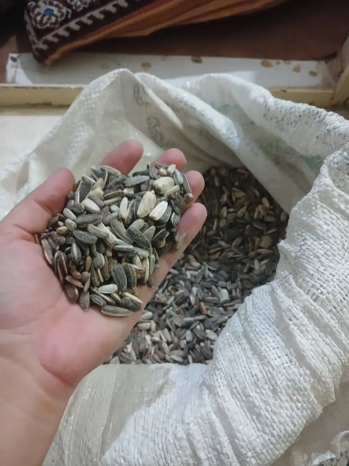 تخمه|خوردنی و آشامیدنی|سبزوار, قصبه شرقی|دیوار