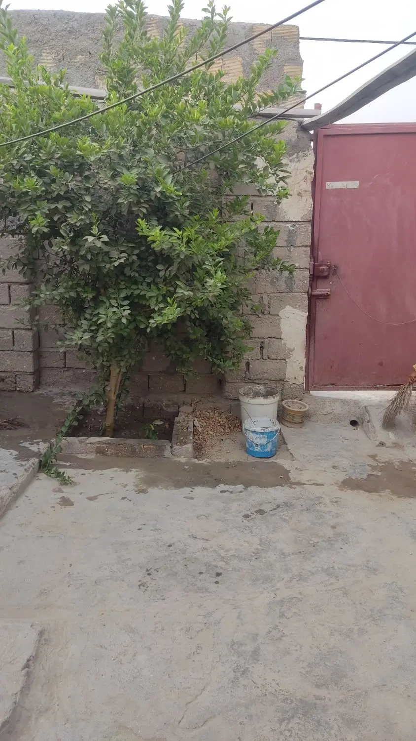 تصویر اصلی