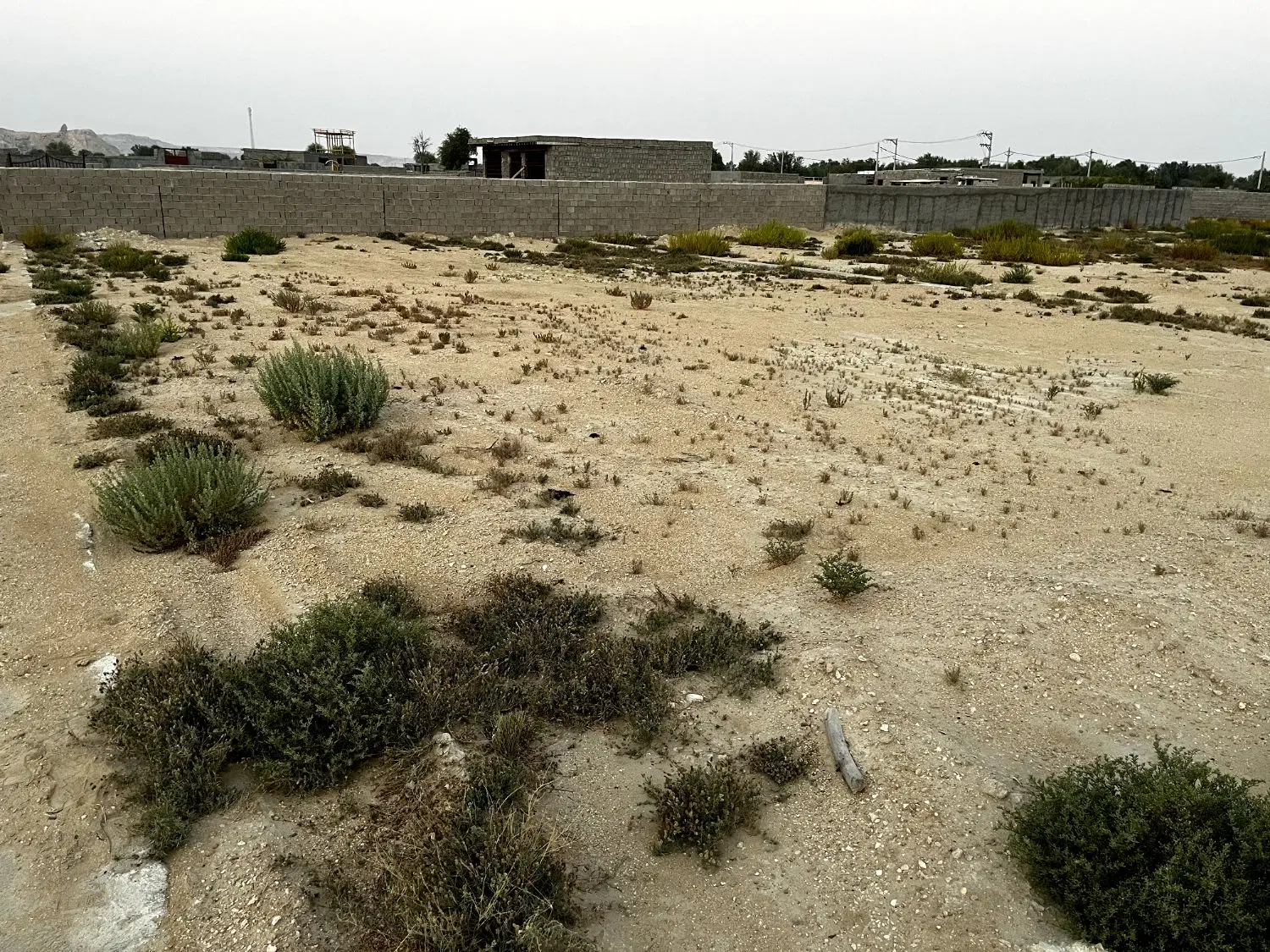 تصویر 5