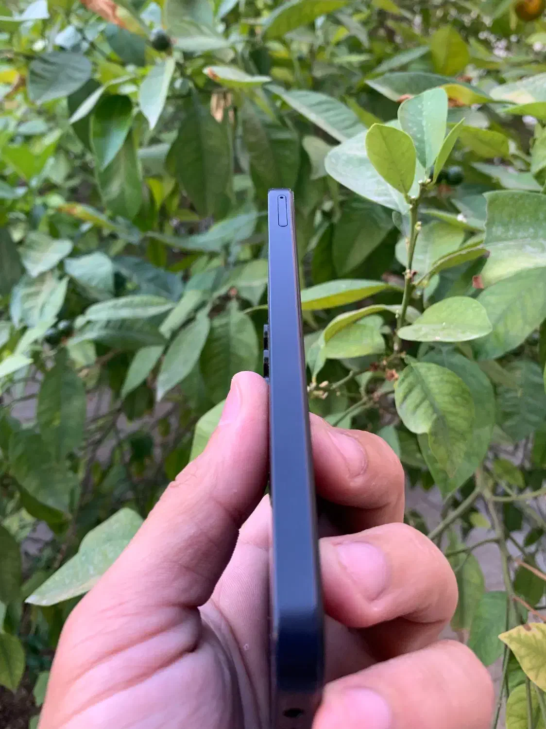 Samsung A15  128/4|موبایل|سمنان, |دیوار