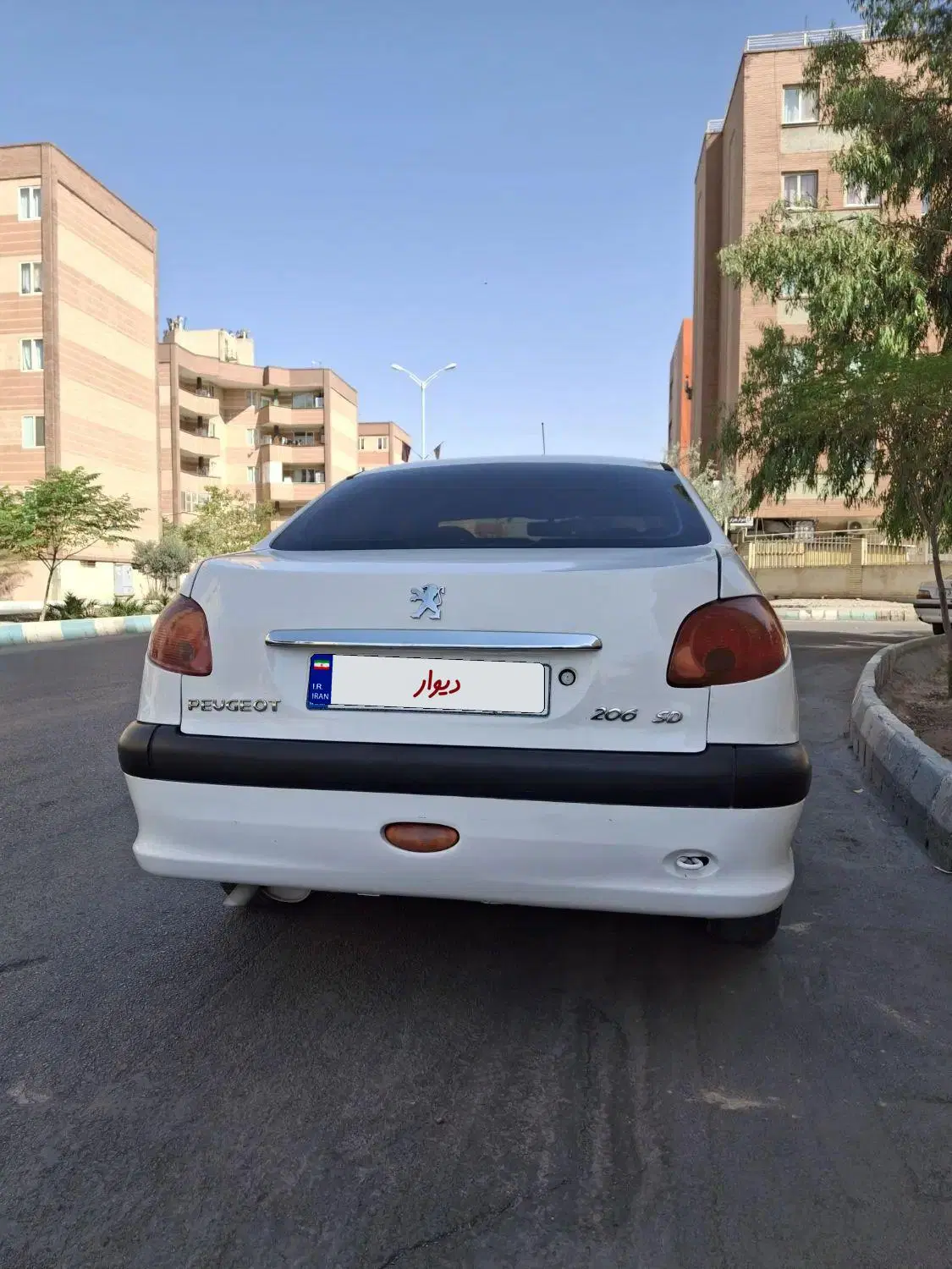 206sd مدل V8 .91|خودرو سواری و وانت|کرمان, |دیوار