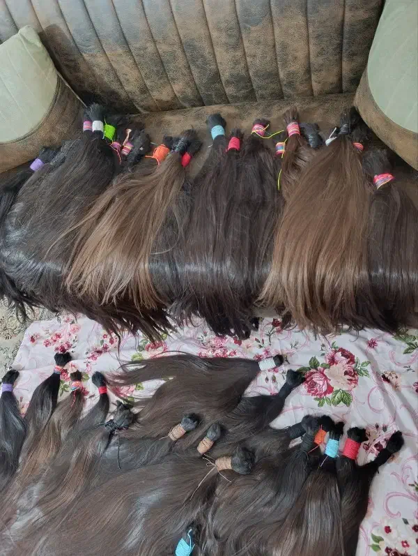 فرش|فرش|تربت جام, حافظ|دیوار