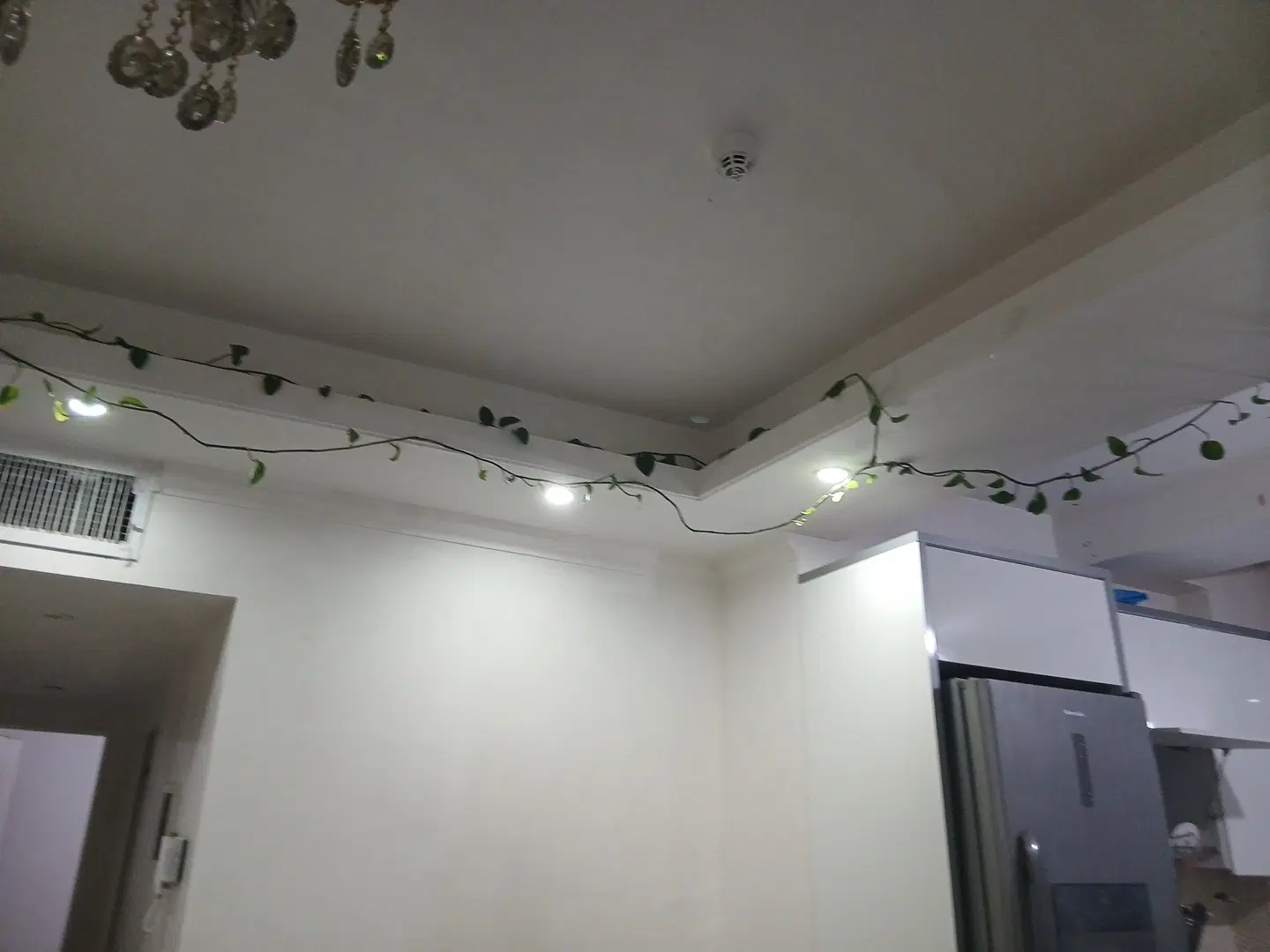 گل .|گل و گیاه طبیعی|تهران, عباسی|دیوار