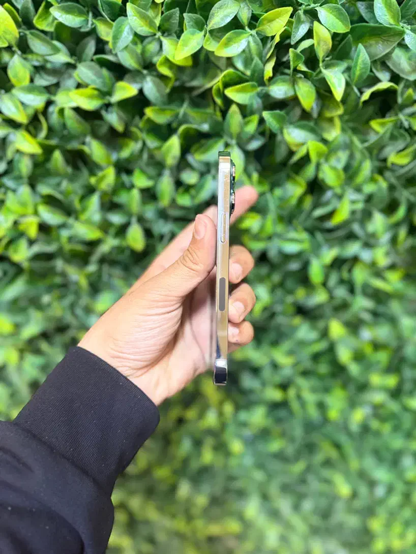 iphone 13 pro 256GB LLA  تک سیم|موبایل|مشهد, ده دی|دیوار