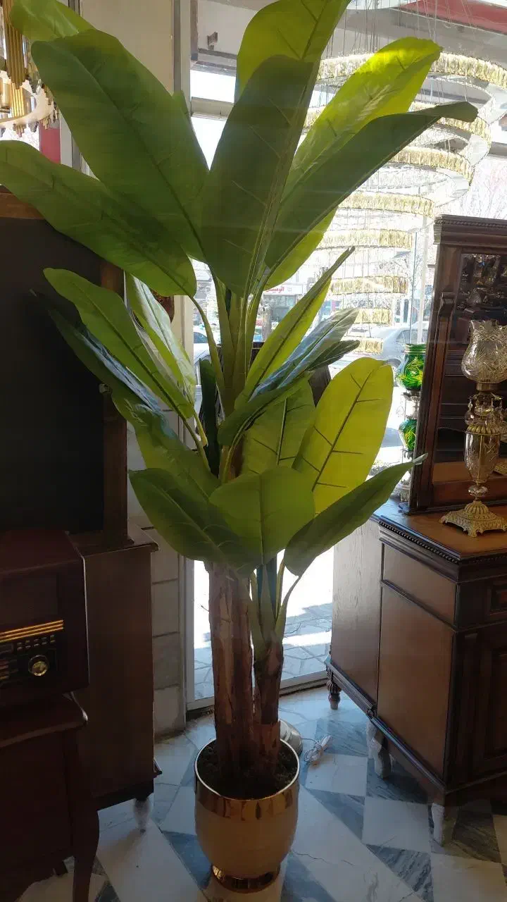 درختچه|گل مصنوعی|بروجرد, |دیوار