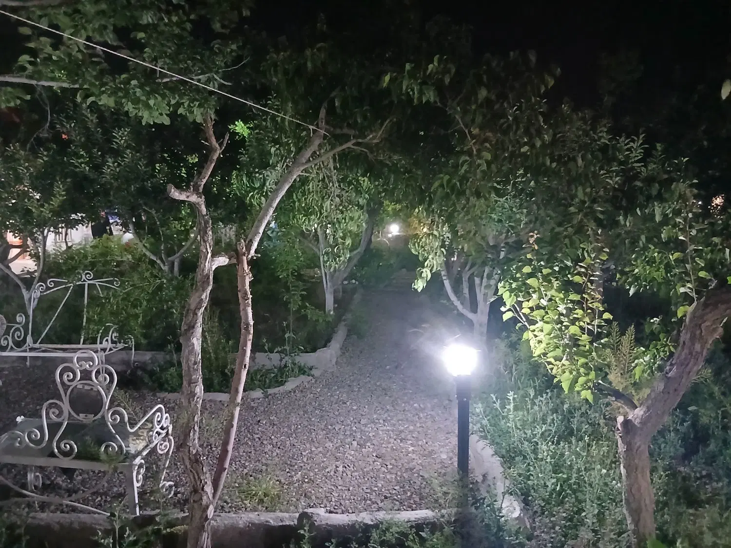 تصویر 15