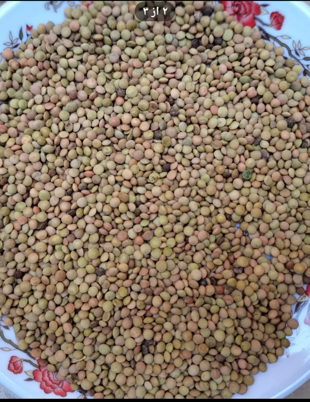 عدس|خوردنی و آشامیدنی|ایوان, |دیوار