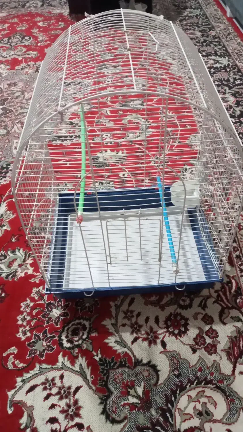 قفس|لوازم جانبی حیوانات|رشت, آب و برق|دیوار